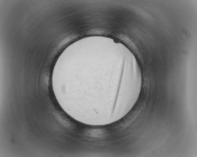 X0000114220063200911061516