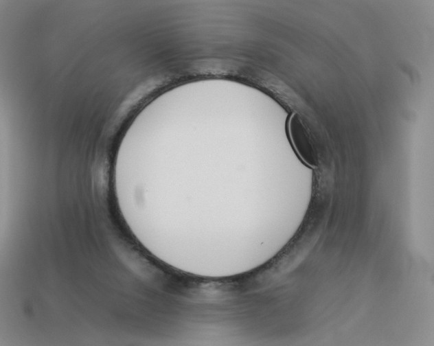 X0000114220064200911061516
