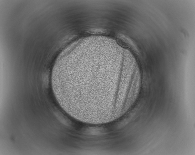 X0000114220065200911061516
