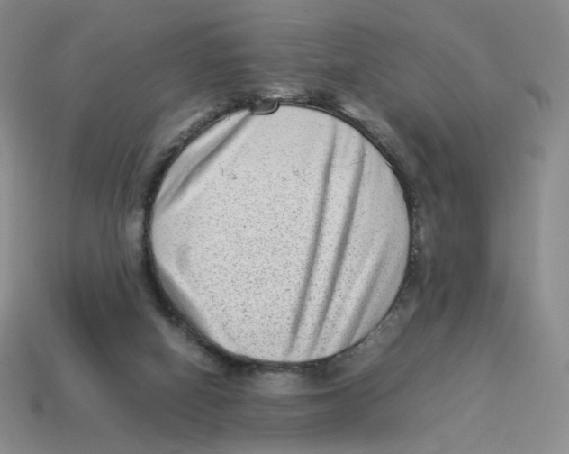 X0000114220066200911061516