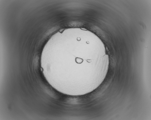 X0000114220071200911061516