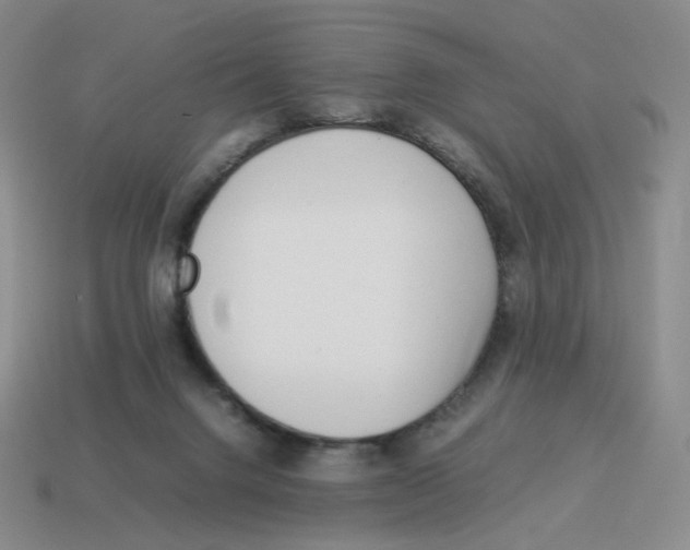 X0000114220072200911061516