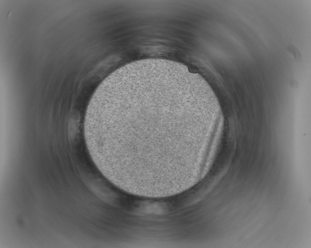X0000114220073200911061516