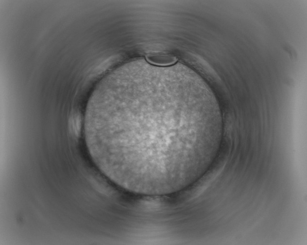X0000114220076200911061516