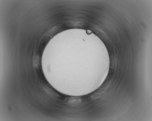 X0000114220077200911061516