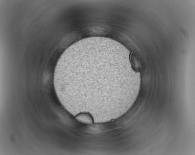 X0000114220079200911061516