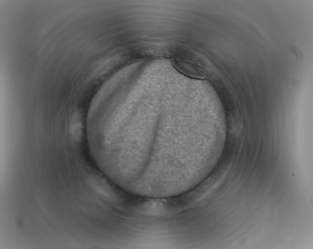X0000114220080200911061516