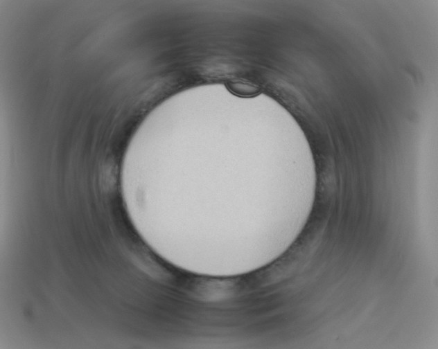 X0000114220081200911061516