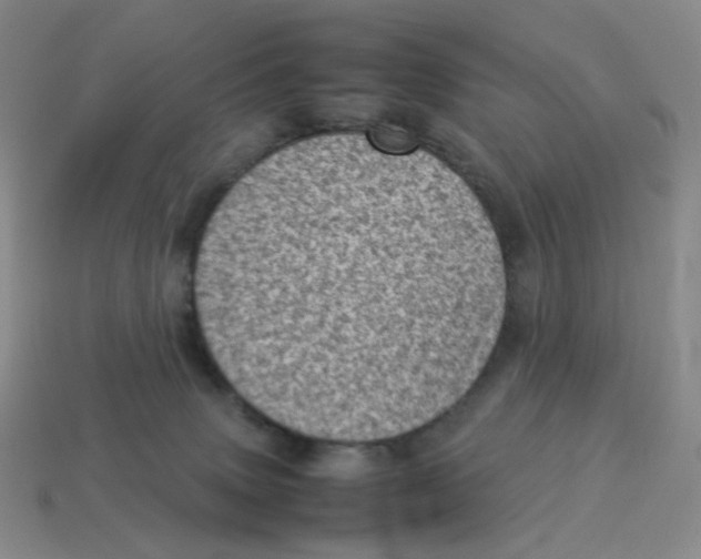 X0000114220083200911061516