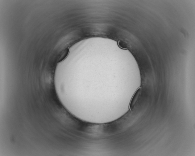 X0000114220084200911061516