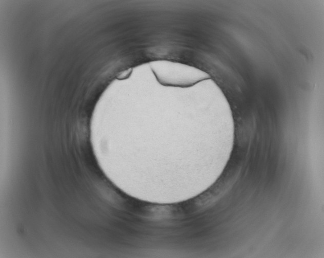 X0000114220085200911061516