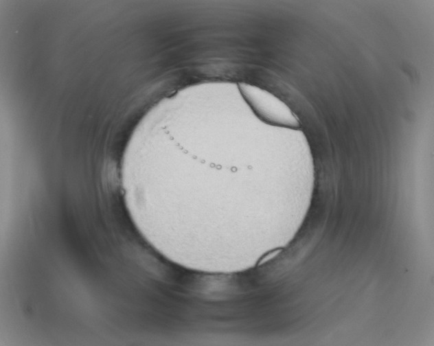 X0000114220089200911061516