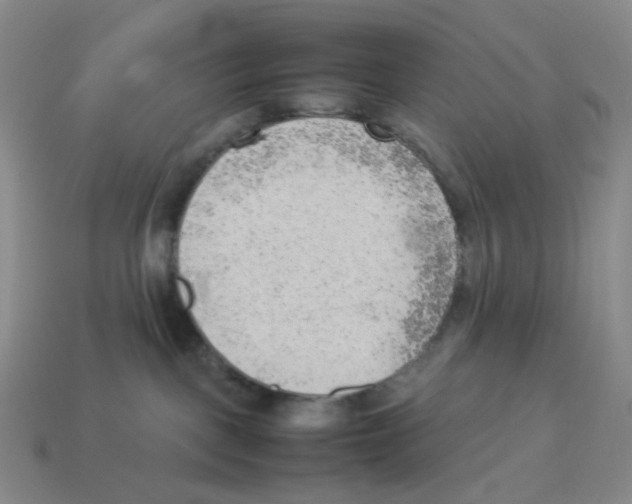 X0000114220093200911061516