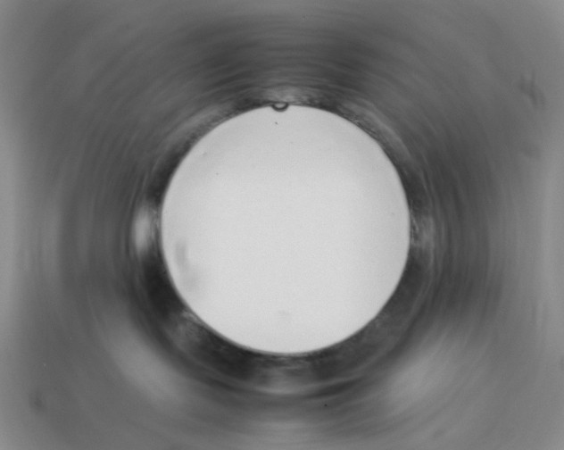 X0000114220095200911061516