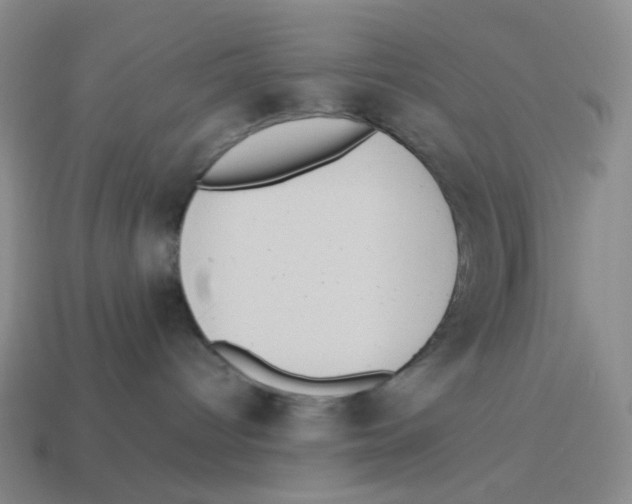 X0000114220096200911061516