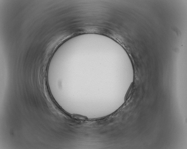 X0000114220097200911061516