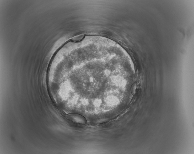 X0000114220099200911061516