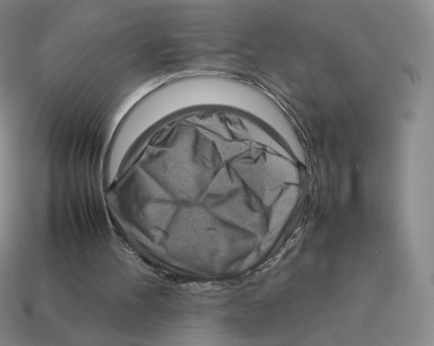 X0000114220100200911061516