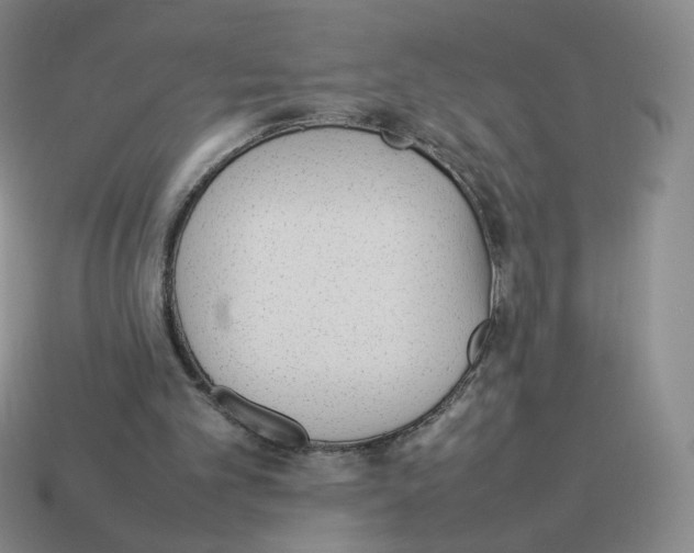 X0000114220101200911061516