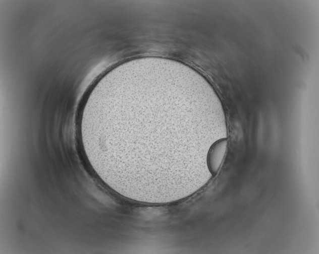 X0000114220102200911061516
