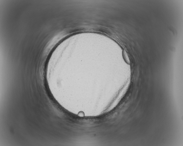 X0000114220103200911061515