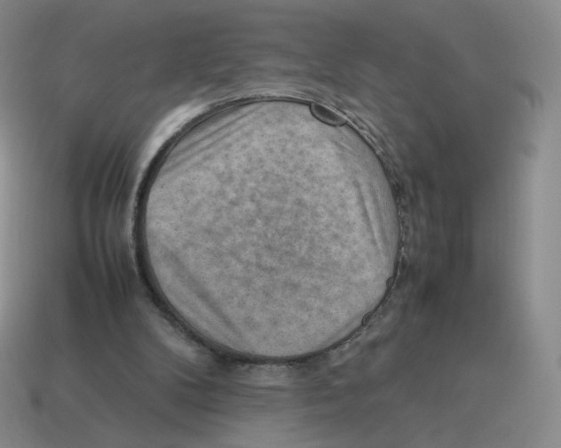 X0000114220104200911061515