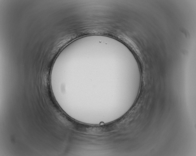 X0000114220105200911061515