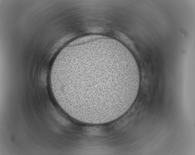 X0000114220106200911061515
