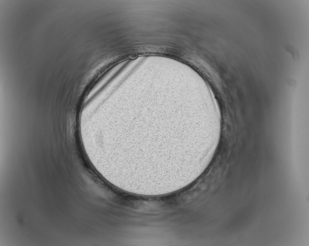 X0000114220107200911061515