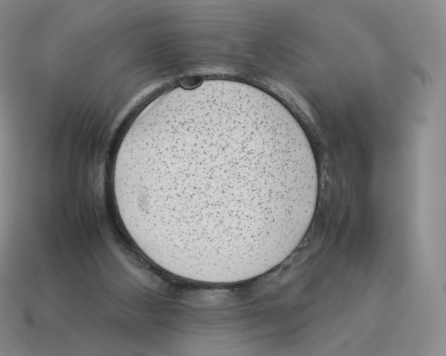X0000114220108200911061515