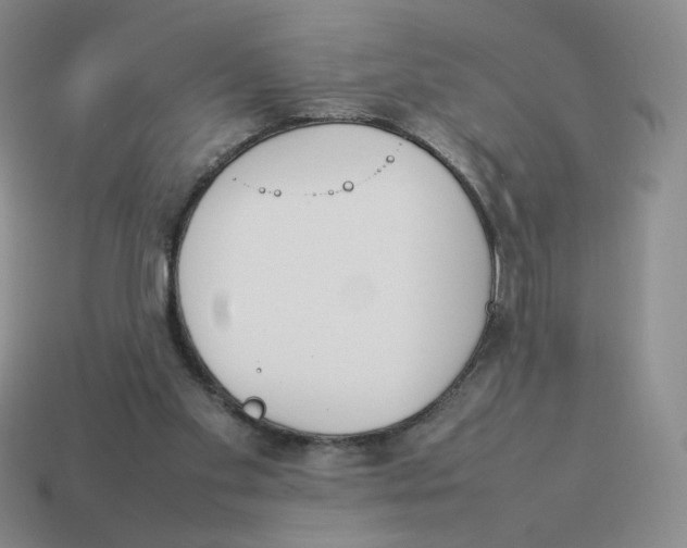 X0000114220109200911061515