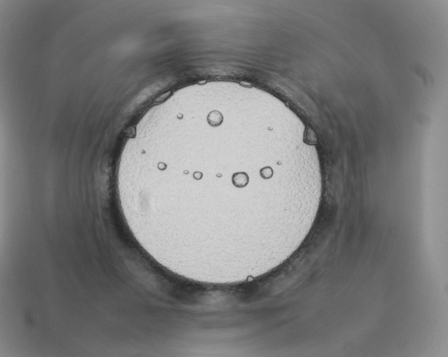 X0000114220111200911061515