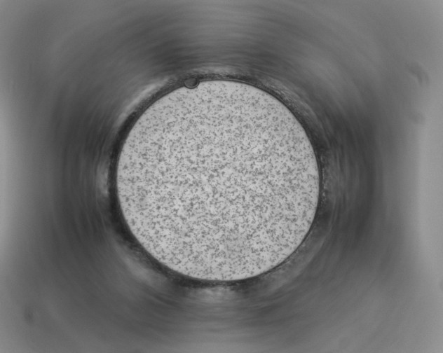 X0000114220112200911061515