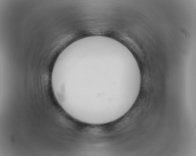 X0000114220113200911061515
