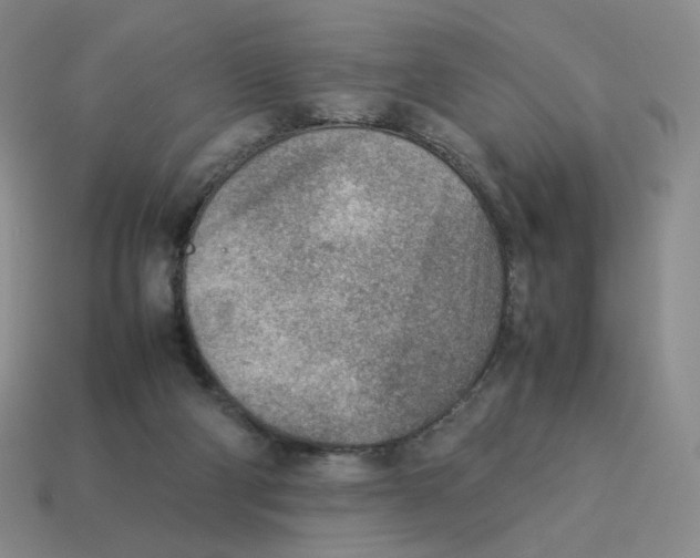 X0000114220114200911061515