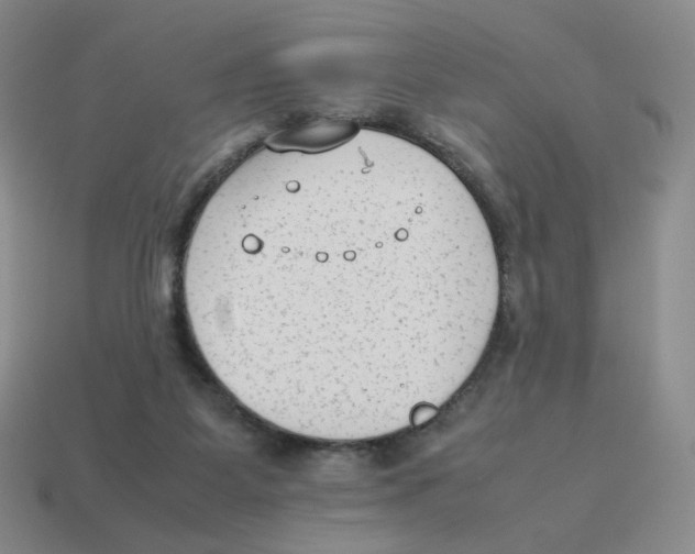 X0000114220115200911061515