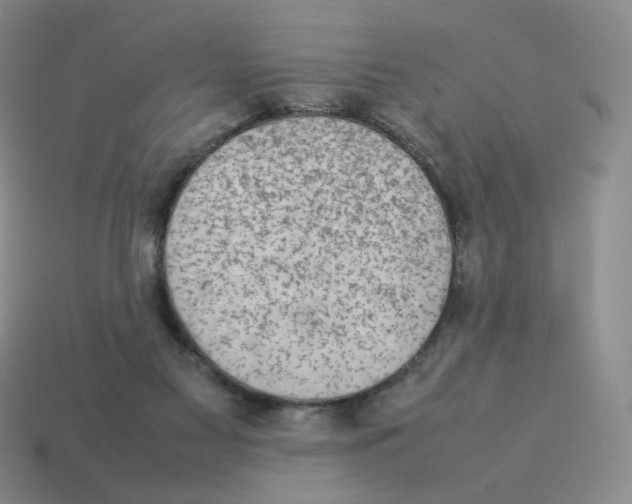 X0000114220117200911061515