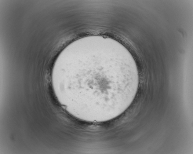 X0000114220119200911061515