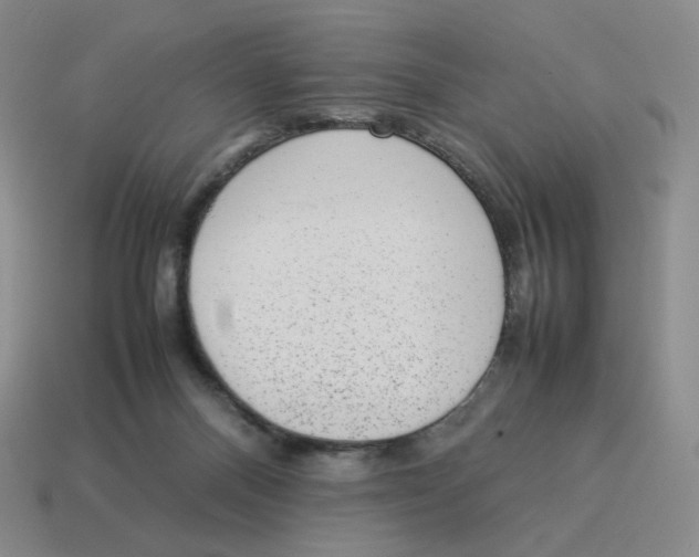 X0000114220120200911061515