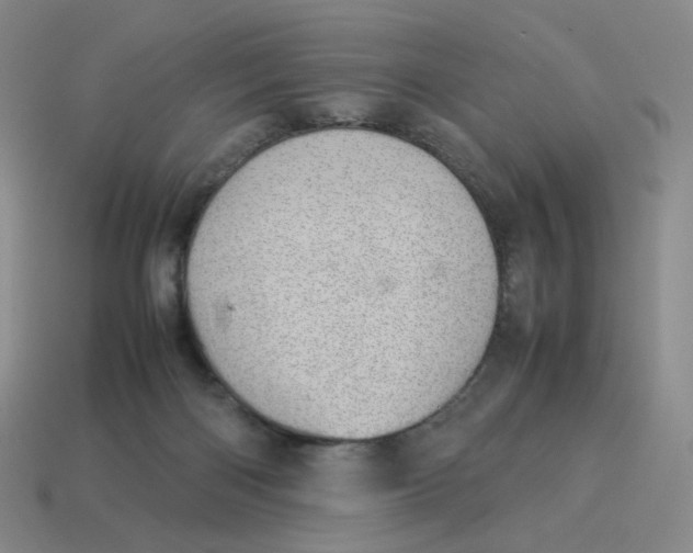 X0000114220122200911061515