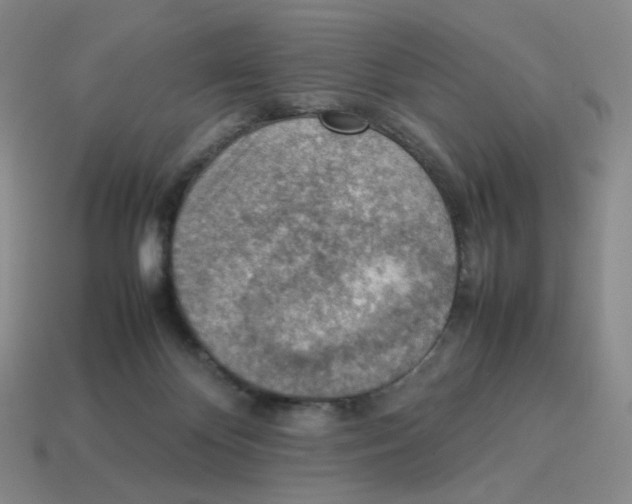 X0000114220124200911061515