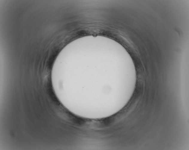 X0000114220125200911061515