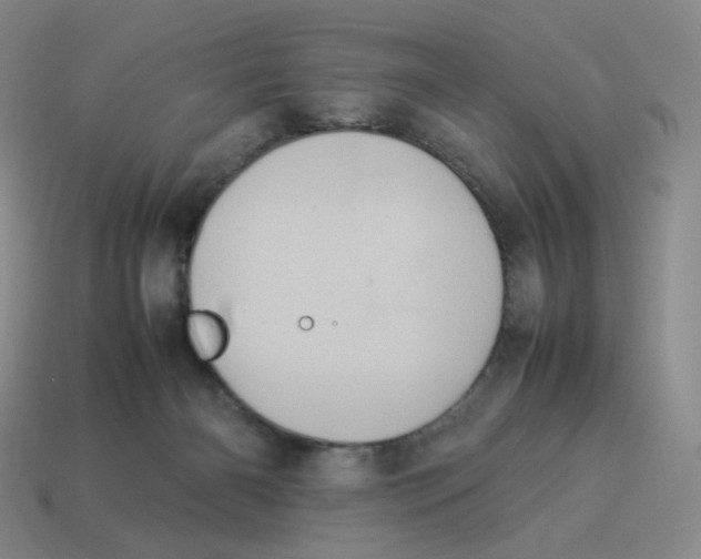 X0000114220126200911061515