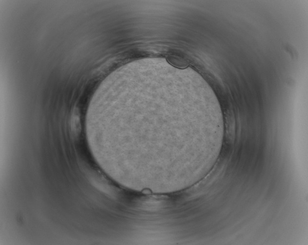 X0000114220128200911061515