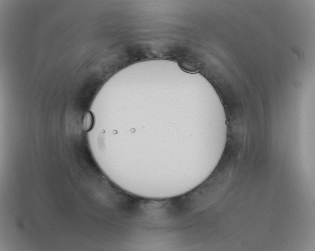 X0000114220129200911061515