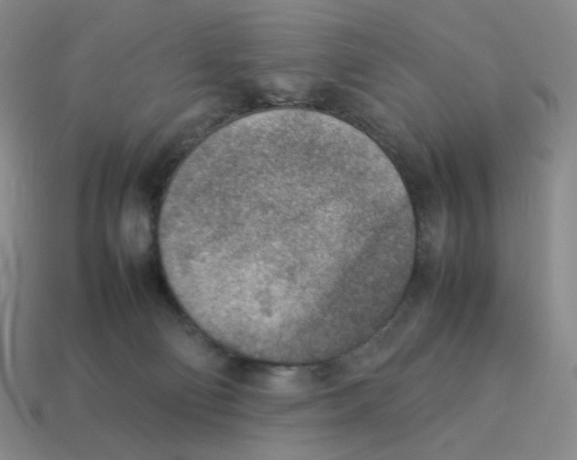 X0000114220130200911061515