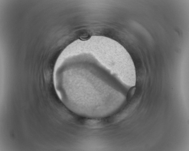 X0000114220139200911061515
