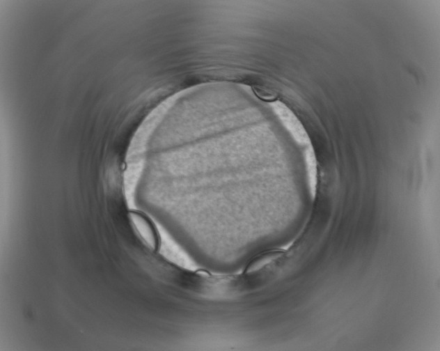 X0000114220143200911061515