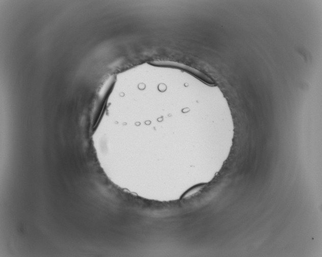 X0000114220144200911061515