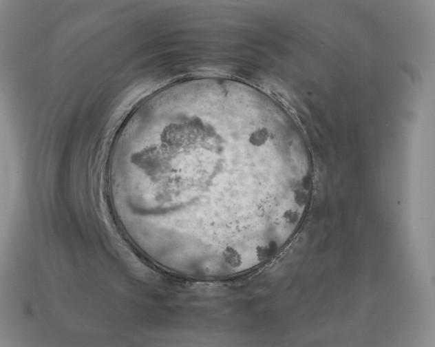 X0000114220145200911061514